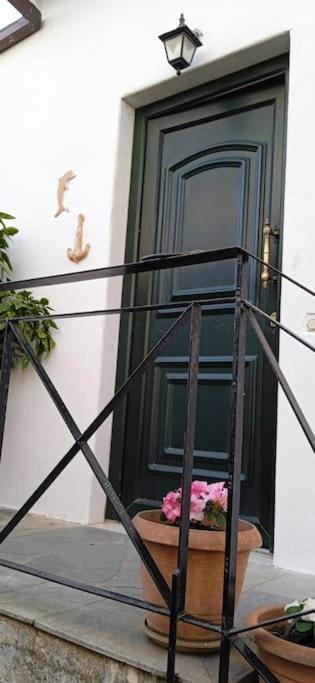 Elea Home Apartments Αλεξανδρούπολη Εξωτερικό φωτογραφία